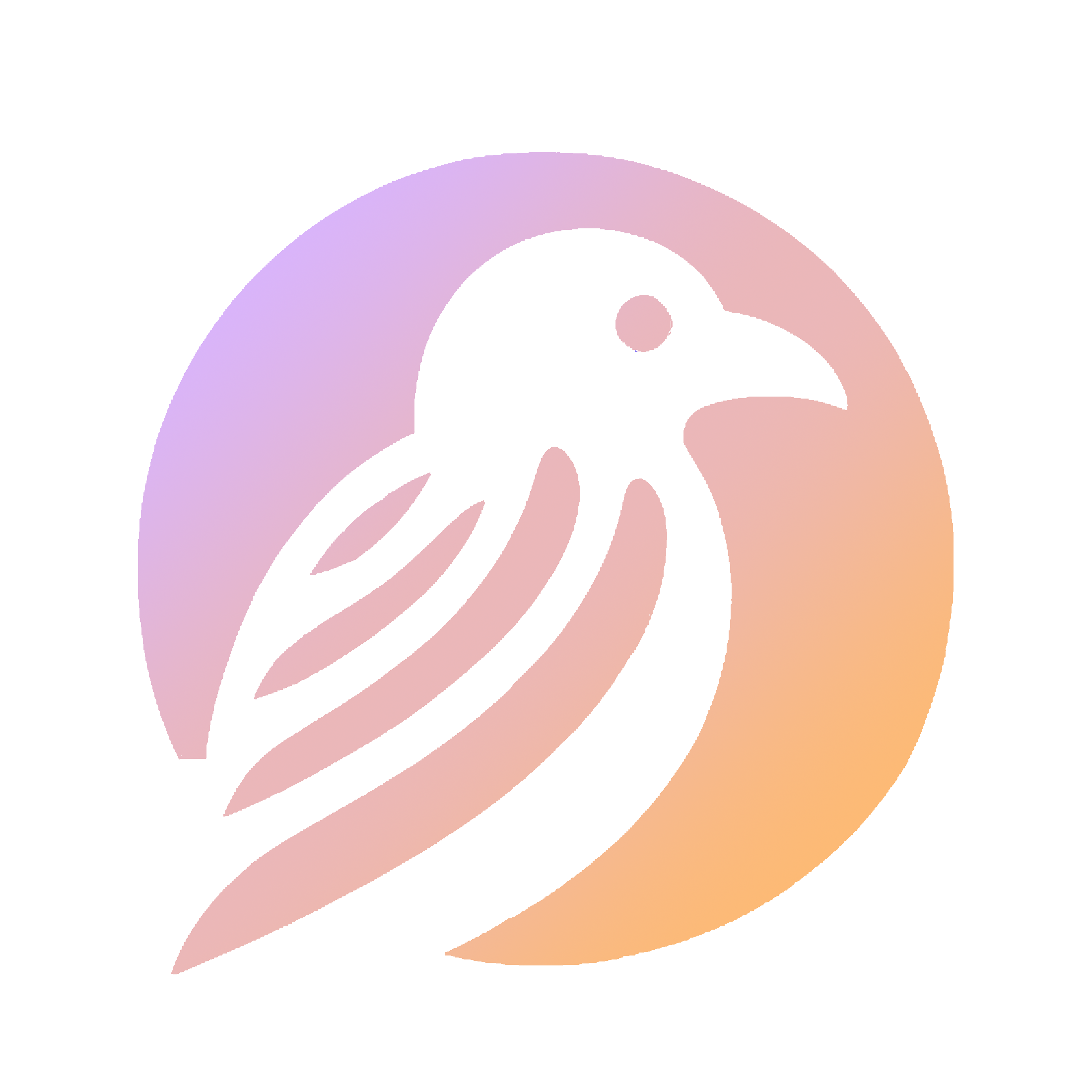 Dark Raven Logo